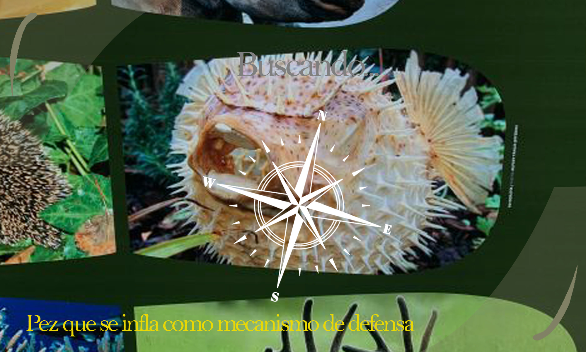 execution-1.jpg execution-1.jpg