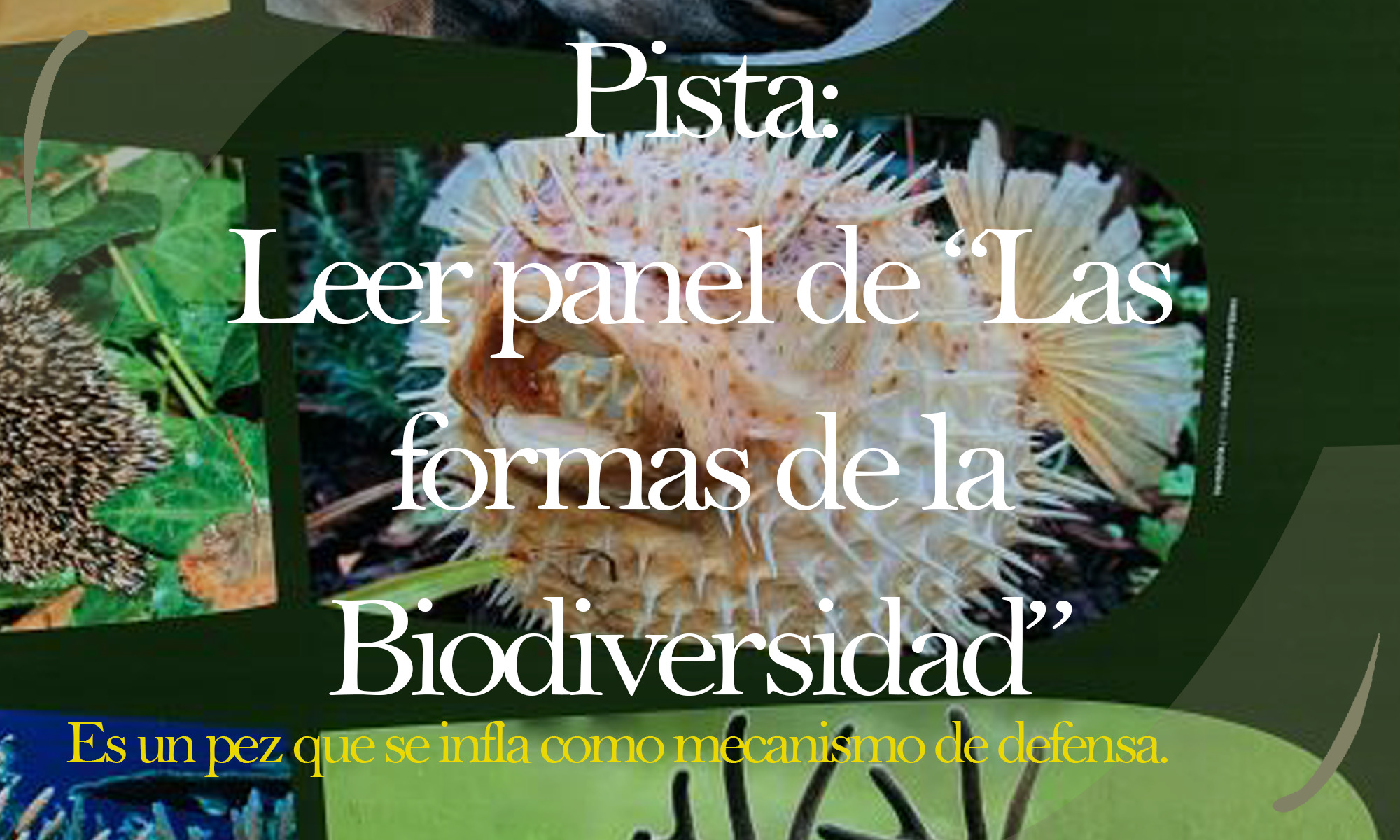 execution-2.jpg execution-2.jpg